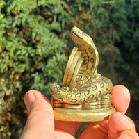 Serpiente China de la abundancia.
