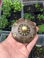 Rueda de Oracion símbolos ASHTA MANGALA (Símbolos de prosperidad). 29 cms x 6,5 cms (RP011).