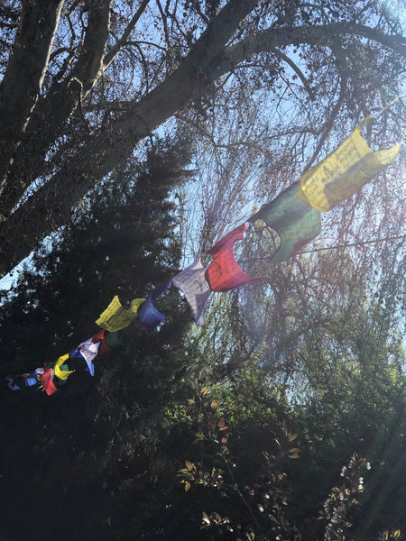  Divya Mantra Banderas de oración tibetanas, banderas de viento  para exteriores, accesorios de decoración de joyería para automóvil,  artículos budistas, Om Mani Padme Hum Paz, bandera de pared, : Patio, Césped